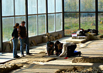 <b>Dzalisa Museum</b>